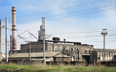 Issız Ukraynaca bitki