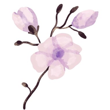 Sakura dalını çiz. Beyaz arkaplanda pastel renkli resimler.