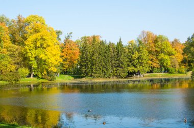 Parktaki mavi göldeki sonbahar ormanının yansıması. 