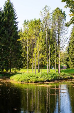 Parktaki mavi göldeki sonbahar ormanının yansıması. 