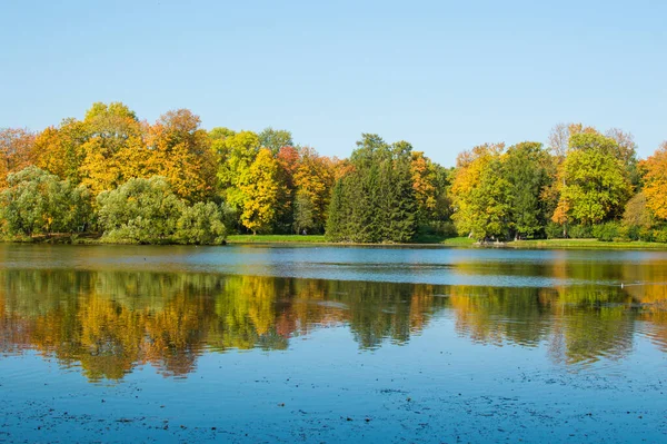 Parktaki mavi göldeki sonbahar ormanının yansıması. 