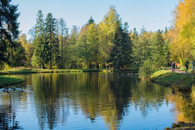 Suya yansıyan sonbahar ağaçları