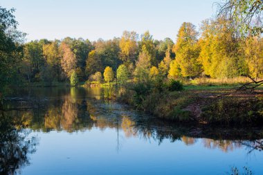 Suya yansıyan sonbahar ağaçları