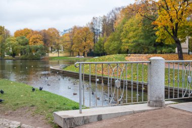 Güz Şehir Parkındaki Gri Köprü 