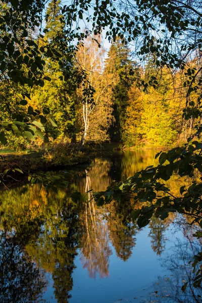 Autumn Trees Reflected Water — Stock Photo, Image