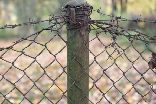 Recinzione Filo Spinato Sfondo Parco Autunno — Foto Stock