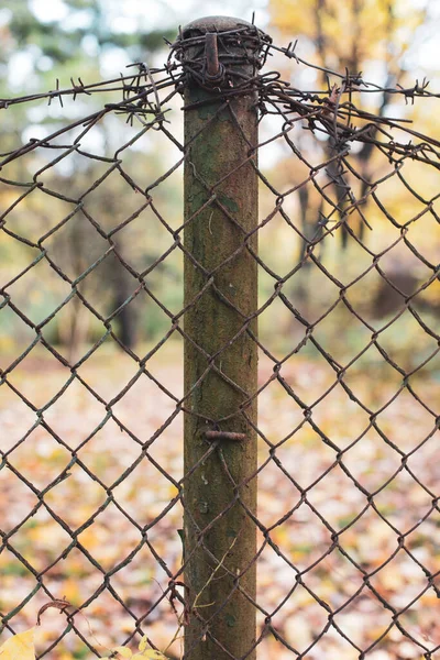 Recinzione Filo Spinato Sfondo Parco Autunno — Foto Stock