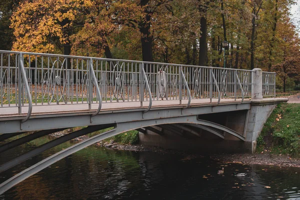 Pont Gris Dans Parc Ville Automne — Photo