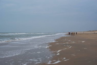 Sahilde dalgalar kuzey denizinde 