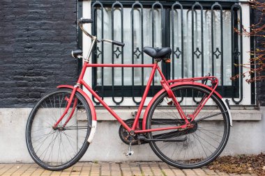 Amsterdam 'da çiçekler ve bisiklet