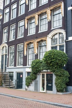 Amsterdam 'da çiçekler ve bisiklet