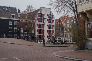 Amsterdam 'da çiçekler ve bisiklet