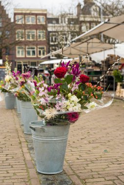 Amsterdam 'da taze bahar çiçekleri
