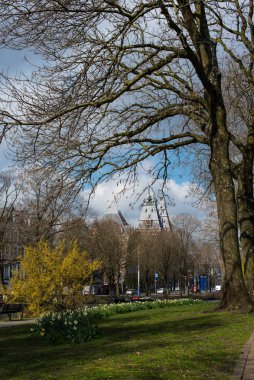 Sonbaharda sonbaharda parkta.