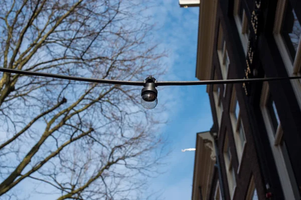 Girlanden Laterne Stadtpark — Stockfoto