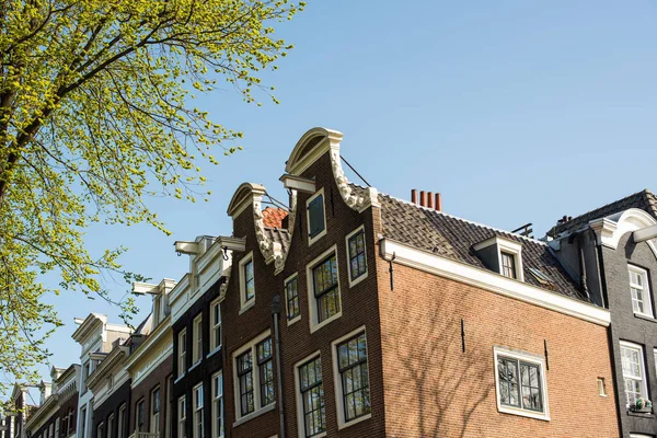 Krásné Kanálové Domy Mosty Amsterdamu — Stock fotografie