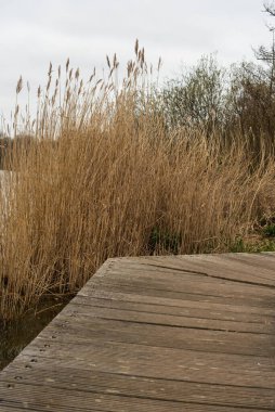 Parktaki tahta köprü.