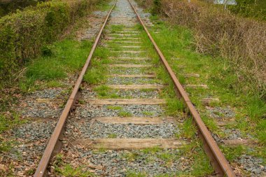 Kırsal kesimde demiryolu rayları