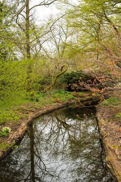 Sonbaharda Sonbaharda Parkta — Stok fotoğraf