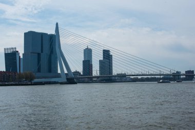 Rotterdam 'daki Erasmus köprüsü
