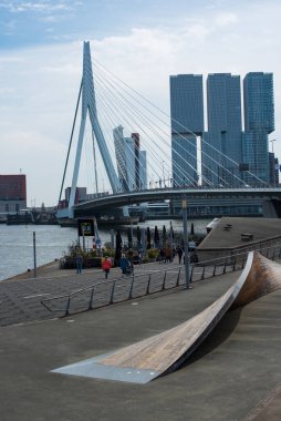 Rotterdam 'daki Erasmus köprüsü