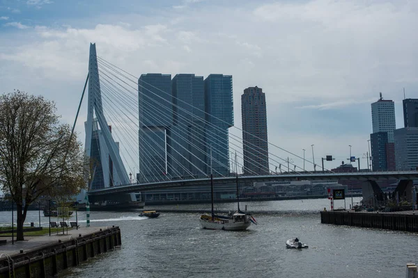 Erasmusbrücke Über Den Fluss Rotterdam — Stockfoto