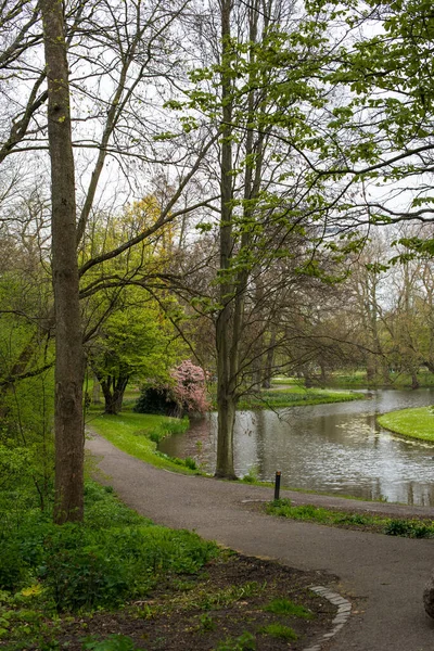 Reflection Pond Park — Stock Photo, Image