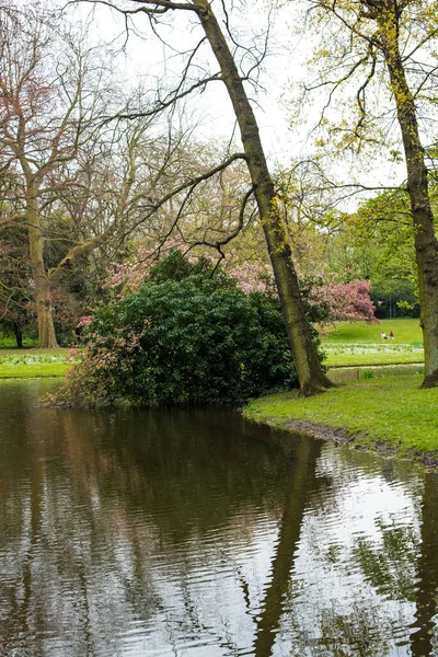 Reflection Pond Park — Stock Photo, Image