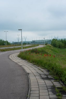 Haşhaş tarlasının yanındaki yol. 
