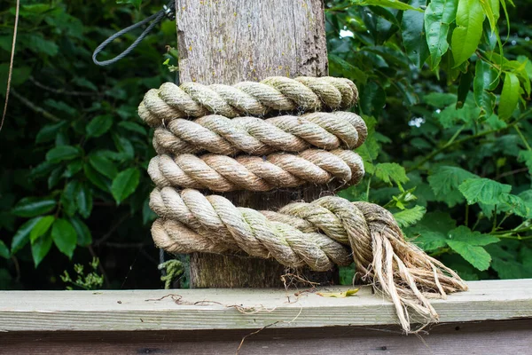 Мотузка Дерев Яному Фоні — стокове фото