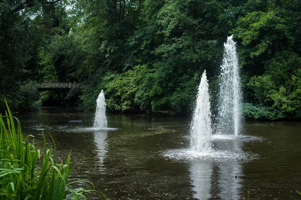 夏の公園の噴水は — ストック写真