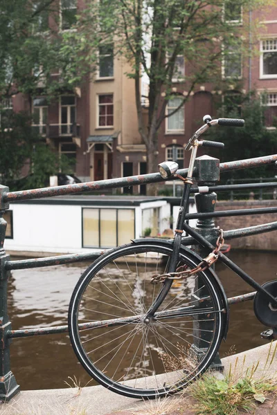 Fiets Amsterdamse Straat — Stockfoto