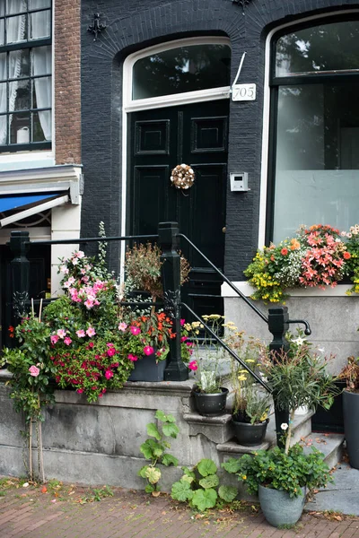 Fiori Vaso Davanti Una Casa Amsterdam — Foto Stock