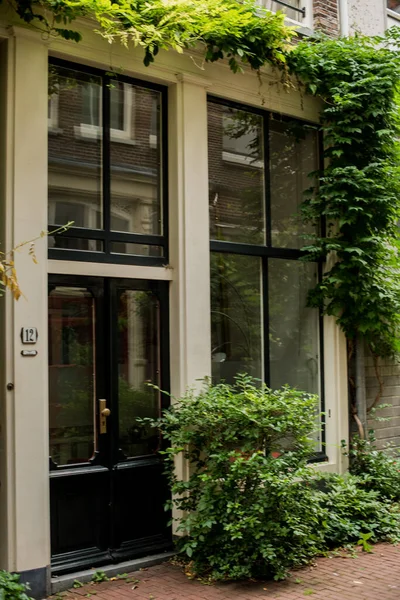 Casa Con Plantas Verdes Casco Antiguo Amsterdam — Foto de Stock