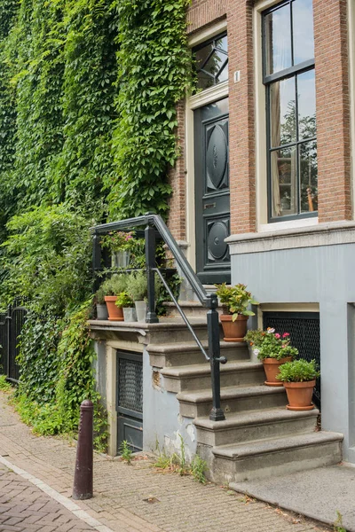 Casa Con Piante Verdi Nel Centro Storico Amsterdam — Foto Stock