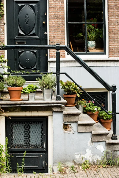 Casa Con Piante Verdi Nel Centro Storico Amsterdam — Foto Stock