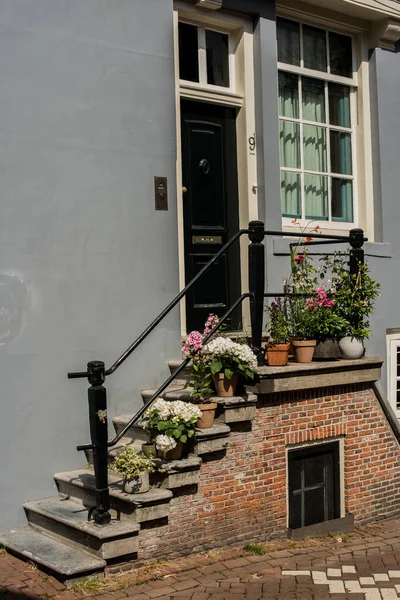 Casa Con Piante Verdi Nel Centro Storico Amsterdam — Foto Stock