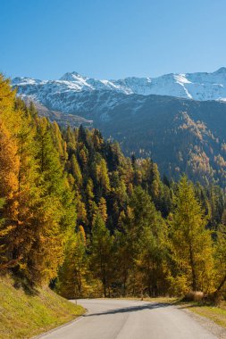 Grossglockner yakınlarındaki Avusturya Alplerinde sonbahar