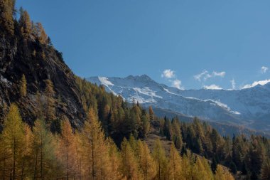 Grossglockner yakınlarındaki Avusturya Alplerinde sonbahar