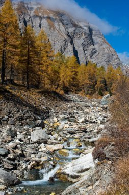 Sonbaharda dağ nehri