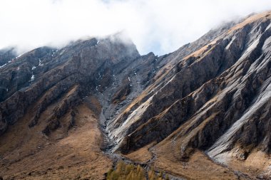 Alplerdeki Renkli Sonbahar Ormanı ve Rocky Dağları