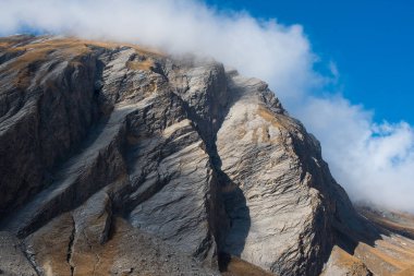 Alplerdeki Renkli Sonbahar Ormanı ve Rocky Dağları