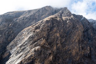 Alplerdeki Renkli Sonbahar Ormanı ve Rocky Dağları