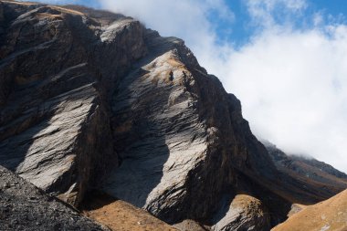 Alplerdeki Renkli Sonbahar Ormanı ve Rocky Dağları