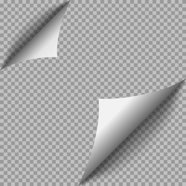 Kağıt sayfa illüstrasyon