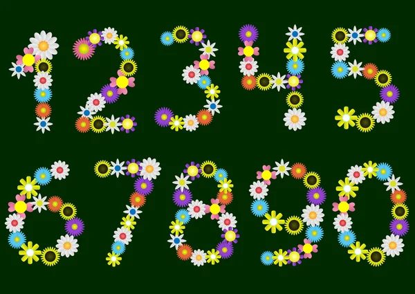 Flower numbers — Stock Vector