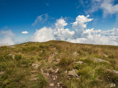 Tepede mavi gökyüzü ve beyaz bulutlarla yaz manzarası         