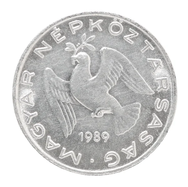 Maďarská výplň mince — Stock fotografie