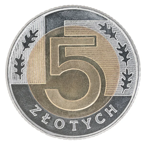 Nowy Złoty polski monet — Zdjęcie stockowe