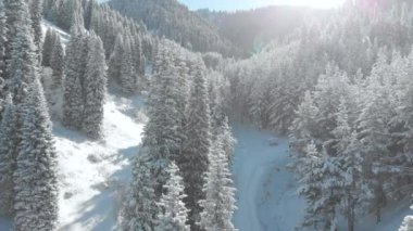 Karlı kış dağları, karışık orman ve dağ vadileriyle kaplı..